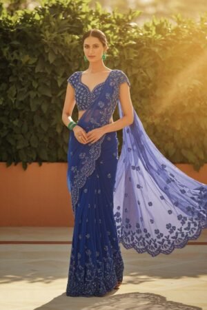 N BLUE chikankari Net designer Chikan Saree
