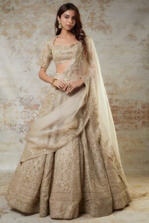 Bollywood Style Lehenga Choli for women's Designer Lehenga for Bridal , latest Embroidred choli